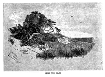 Sandy Hook--in 1879. vist0047k